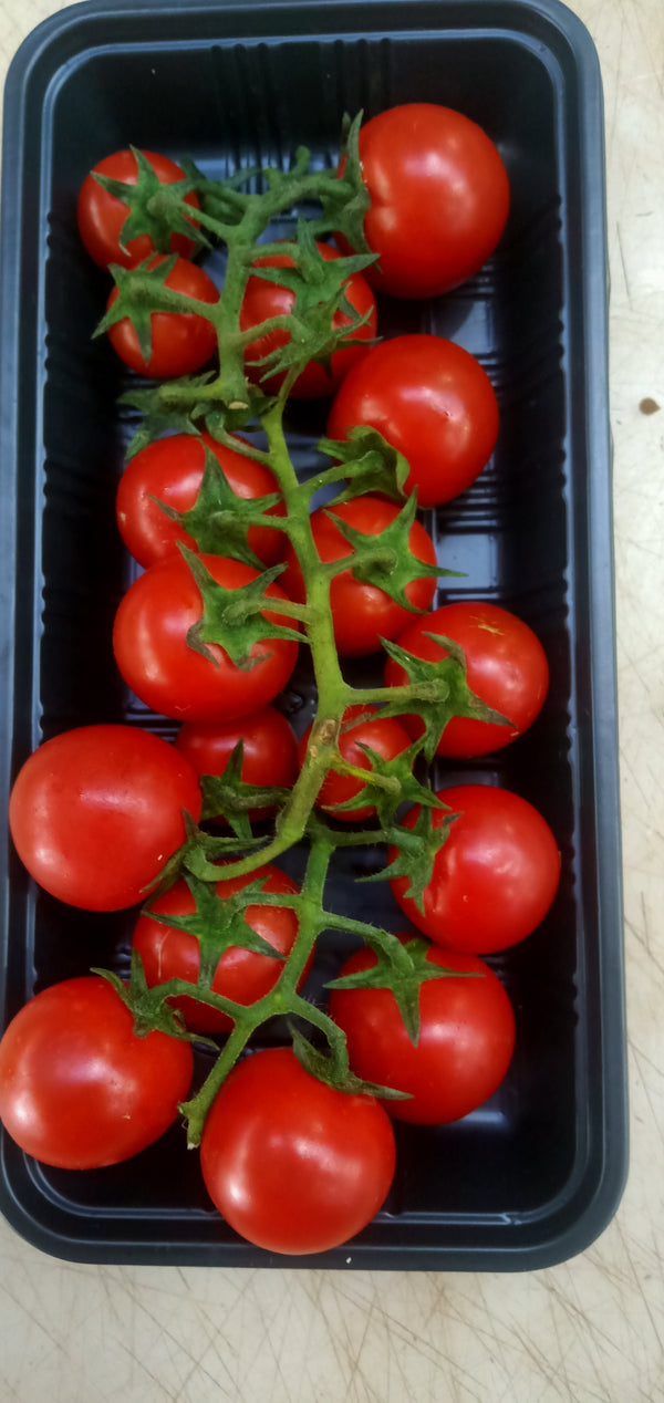 Tomato Vine Ripened - Red