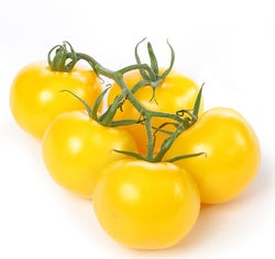Tomato Vine Ripened - Yellow