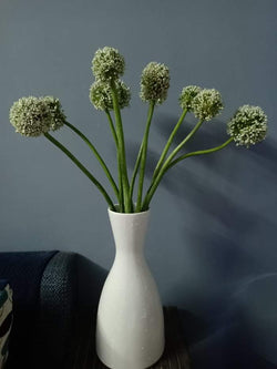 Allium Flowers