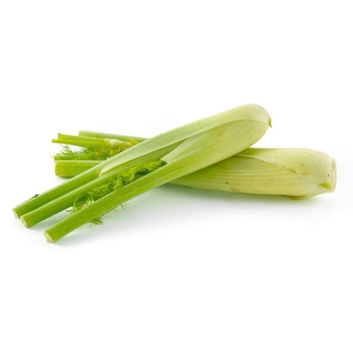 Fennel Baby