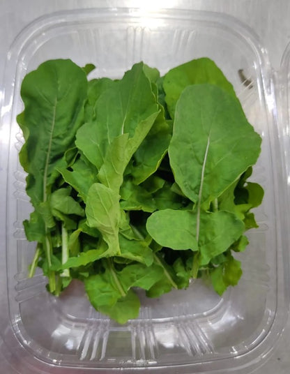 Baby roquette