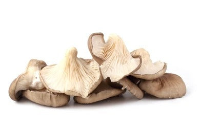 Mushrooms ,Oysters Grey
