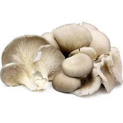 Mushrooms ,Oysters Grey