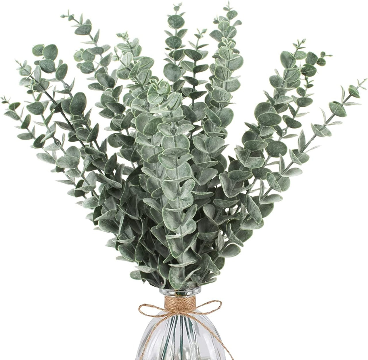 Eucalyptus