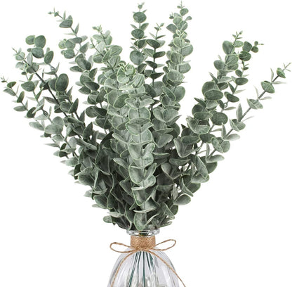 Eucalyptus
