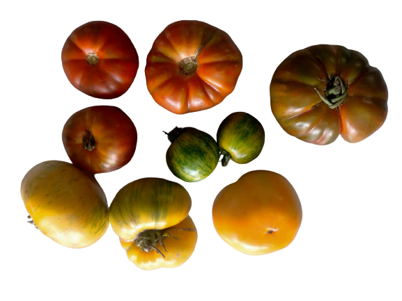 Heirloom Tomatoes Mix