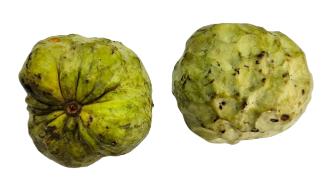 Hillery Custard Apple
