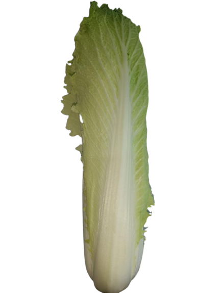 Michillin Cabbage