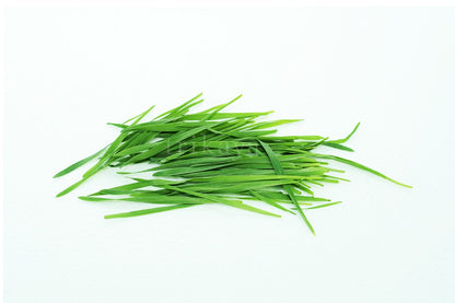 Wheatgrass
