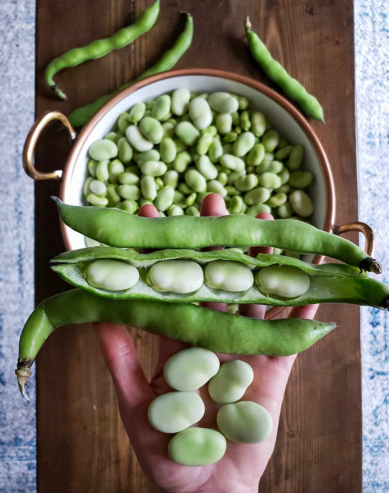 Whole Broad Beans Fresh