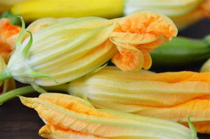 Zucchini Flowers