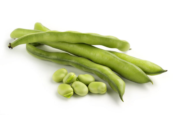 Whole Broad Beans Fresh