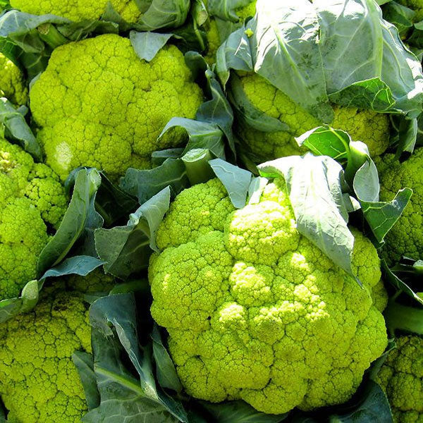 Green cauliflower