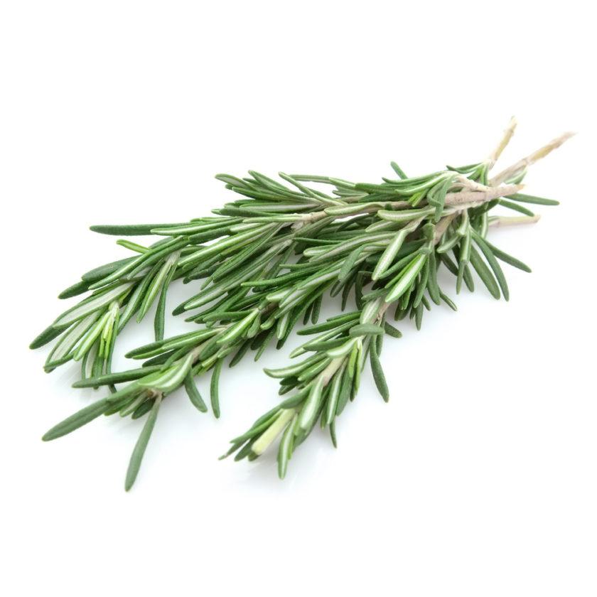 Rosemary Fresh